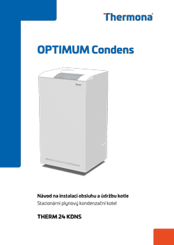 THERM 24 KDNS