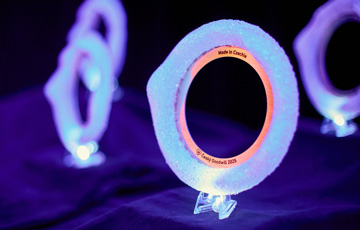 Český Goodwill 2025